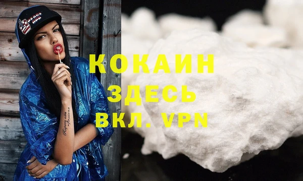 гидропоника Новозыбков