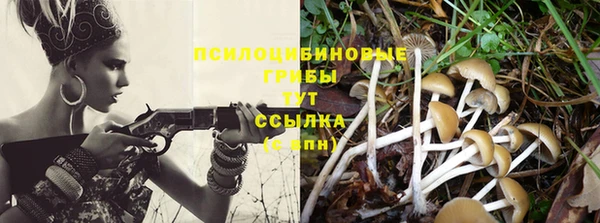 а пвп мука Новодвинск