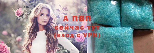гидропоника Новозыбков