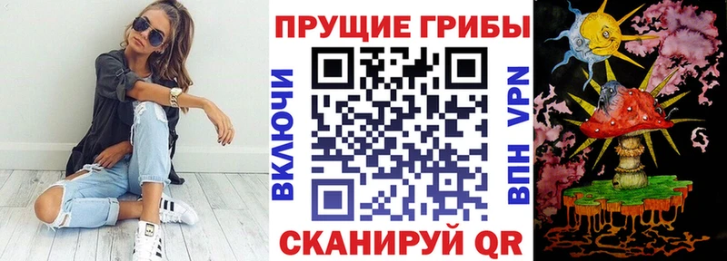 Псилоцибиновые грибы GOLDEN TEACHER  Кимры 
