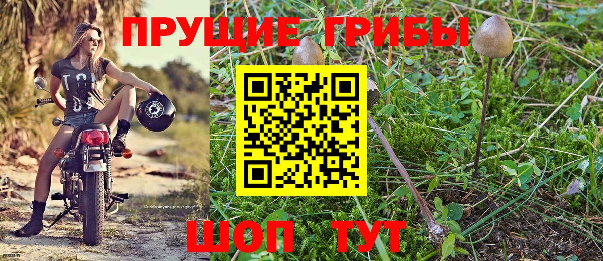 Кимры  Псилоцибиновые грибы ЛСД  Вход с VPN 